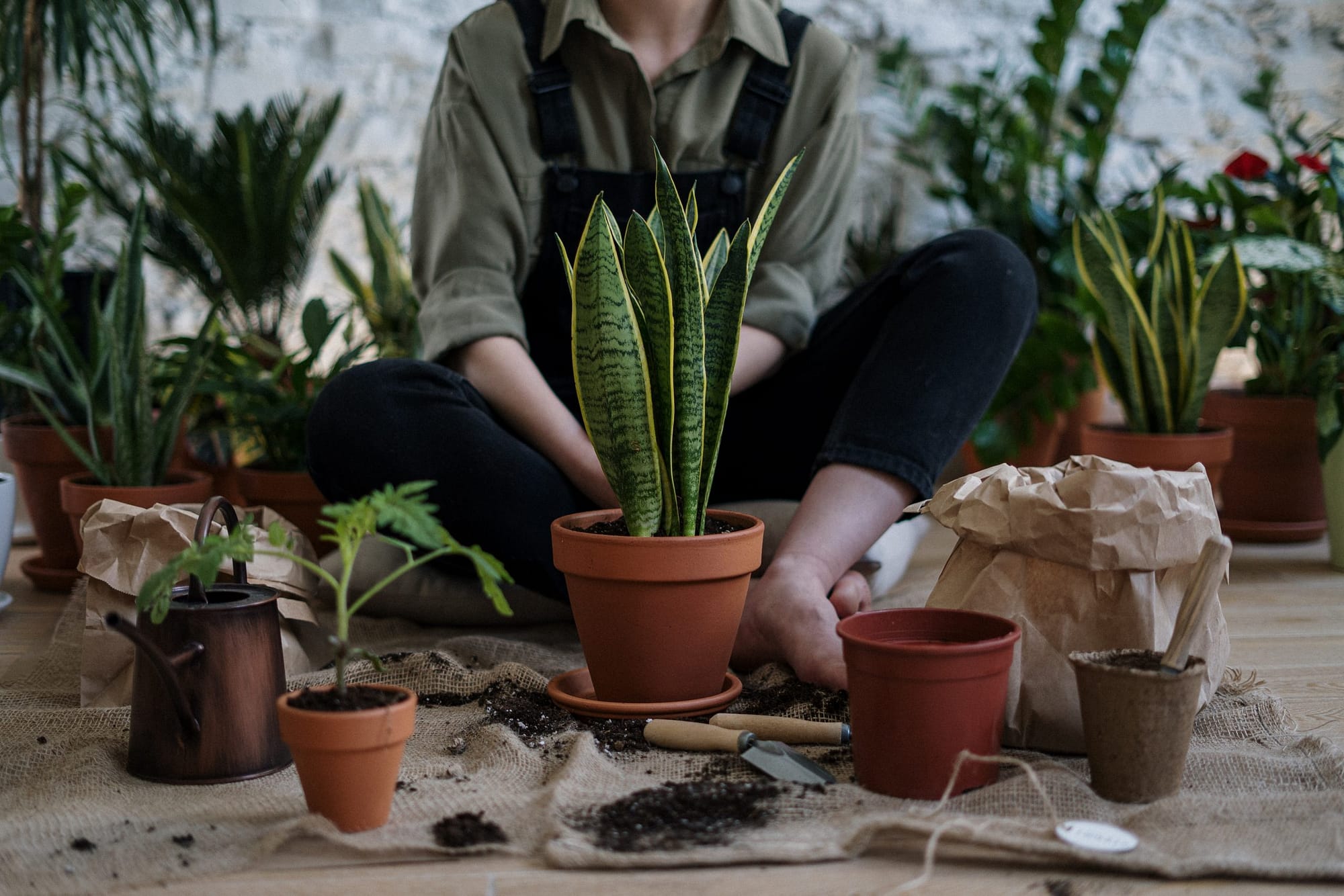 gardening-02